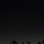 Leo rising
